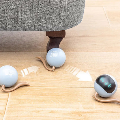 Smart Interactive Cat Toy