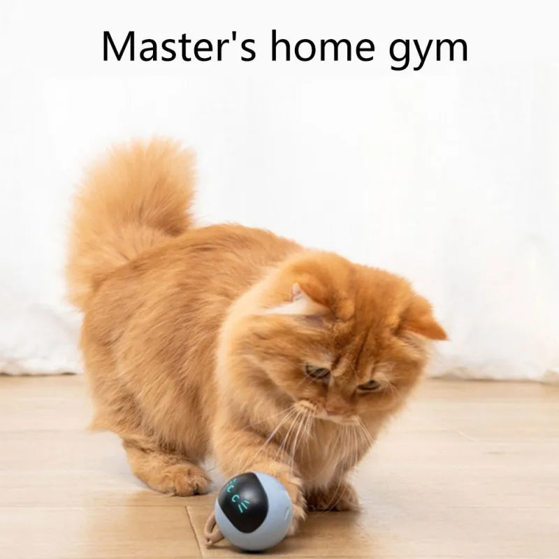 Smart Interactive Cat Toy