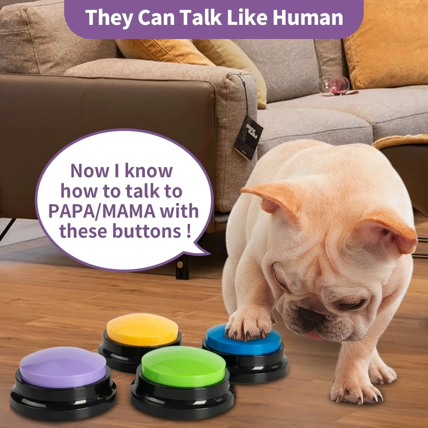 Speaking Buttons - Dog Training