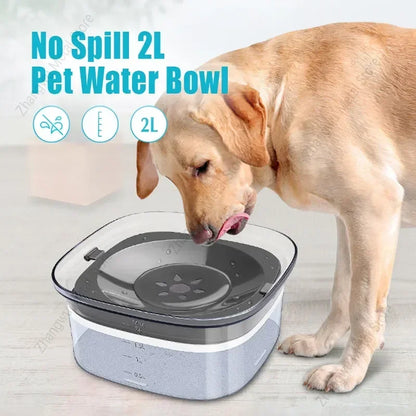 Anti Splash Dog Bowl