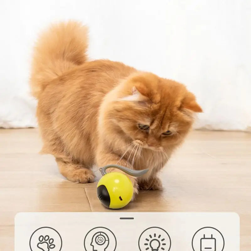 Smart Interactive Cat Toy