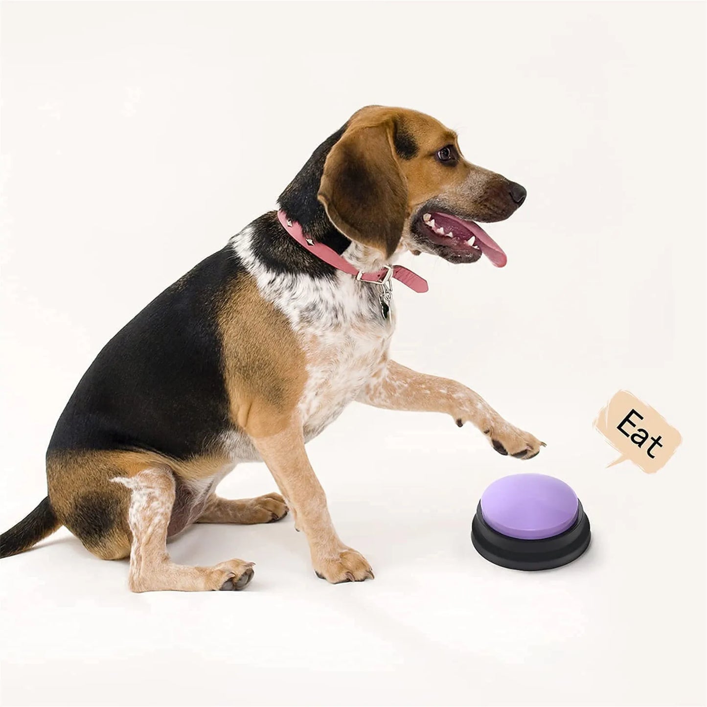 Speaking Buttons - Dog Training